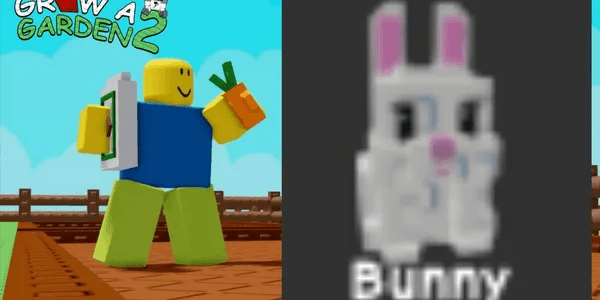 Bunny