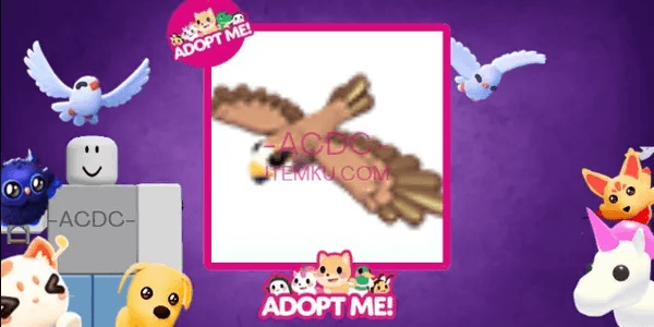 Black Kite