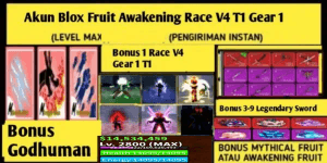 Blox Fruit Awakening Race V4 T1 (Gear 1) (LEVELMAX) (DATPOL) Account