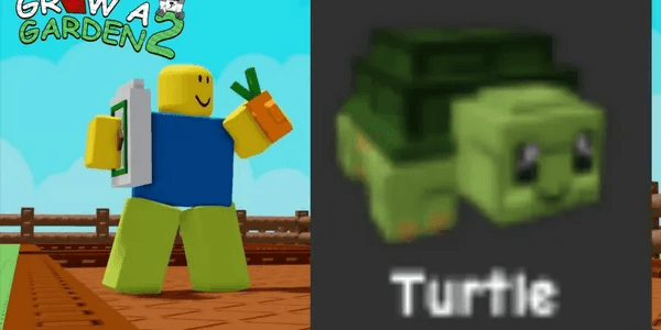 Turtle