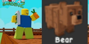 Bear