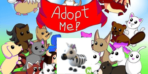 Zebra N