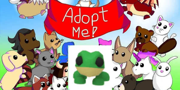 Frog