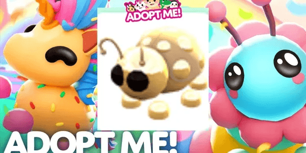 Golden Ladybug