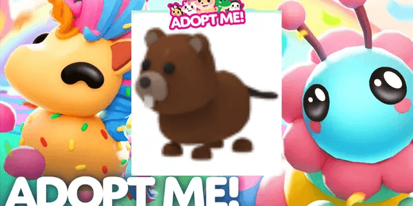 Beaver