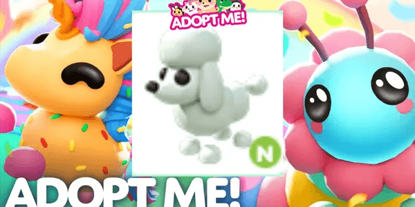 Poodle N