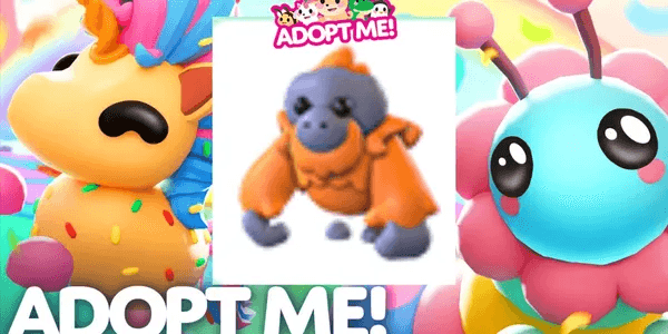 Orangutan