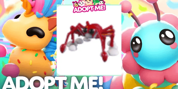 Spider Crab