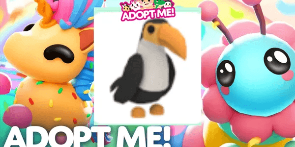 Toucan
