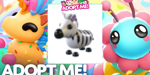Zebra