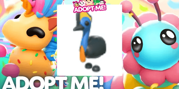 Cassowary