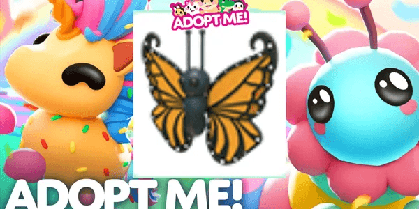 Orange Butterfly