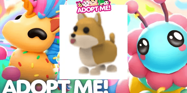 Shiba Inu
