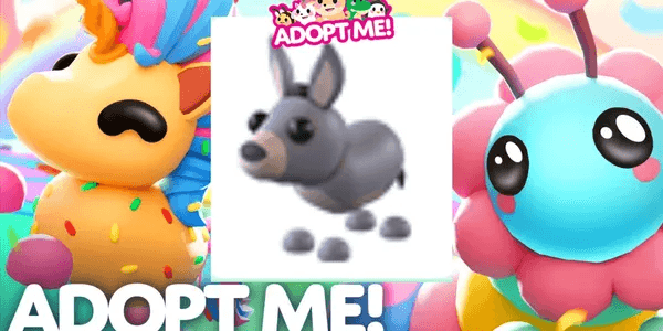 Donkey