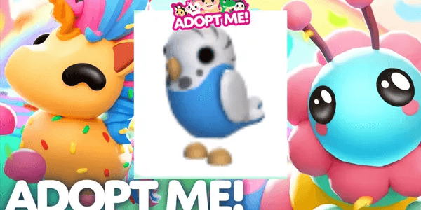 Parakeet
