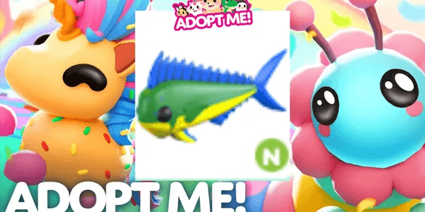 Mahi Mahi N