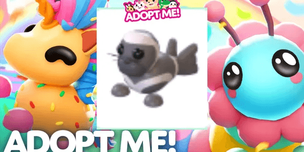 Ribbon Seal
