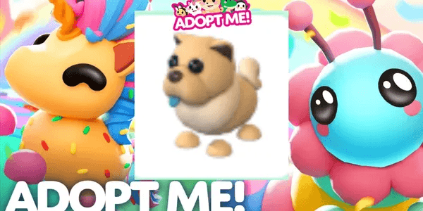 Tan Chow-Chow