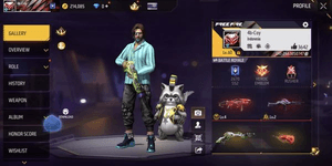 Cheap Quality Free Fire Account & Guaranteed