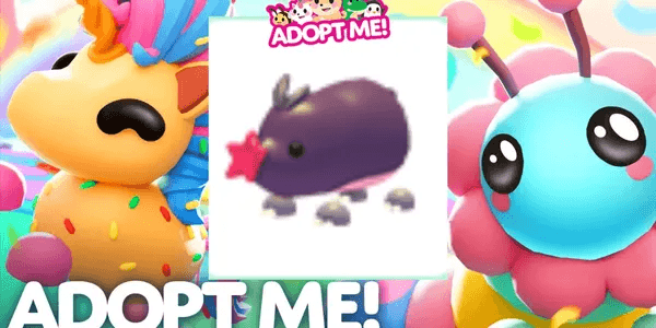 Mole (Pet)