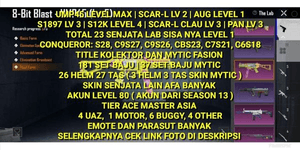 PUBG ACCOUNT VERY CHEAP