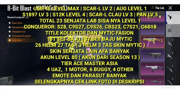 PUBG ACCOUNT VERY CHEAP