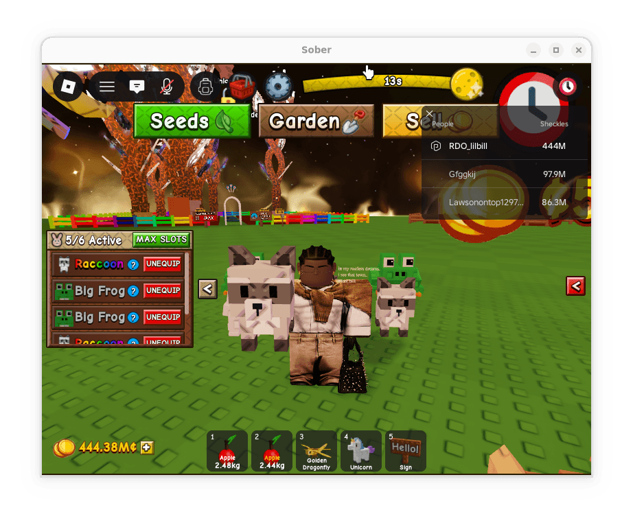 avatar 1 raccon