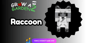 Raccoon