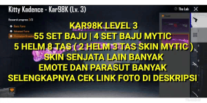 PUBG LEVEL 30 CHEAPEST