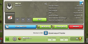 Clan Level 8 Cheap