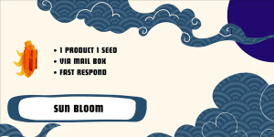 Sun Bloom