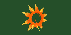 Sun Bloom
