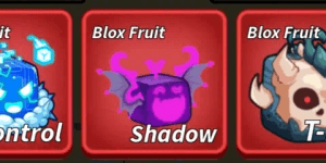Shadow