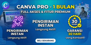Pro 1 Month