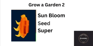 Sun Bloom