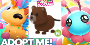 Beaver N