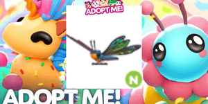 Clubtail Dragonfly N
