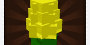 Corn
