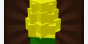 Corn