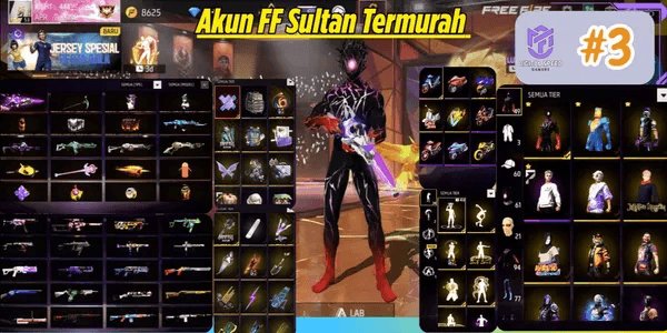 FREE FIRE ACCOUNT AS PER PHOTO #3