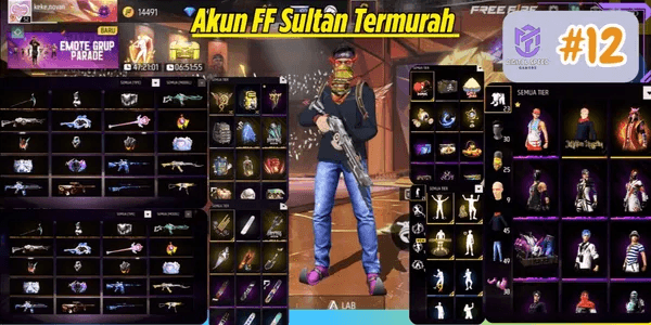 FREE FIRE ACCOUNT AS PER PHOTO #12