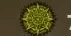 250 emblem