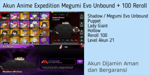 Anime Expedition Meta Unit Account