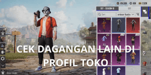 PUBG ACCOUNT LEVEL 30 BARE