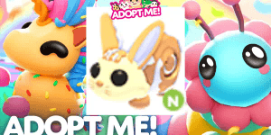 Bunny Swirl N