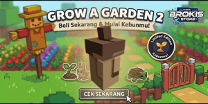 Acorn