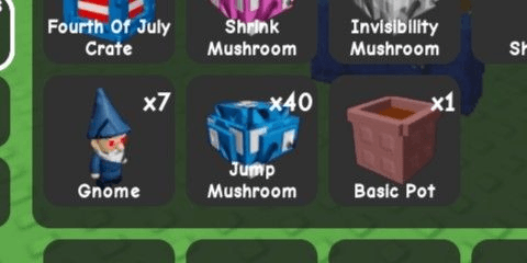 Product Showcase