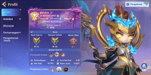 Bestseller | Sultan Mcgg account ready to play | many commanders | 100% safe guaranteed