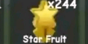 Star Fruit