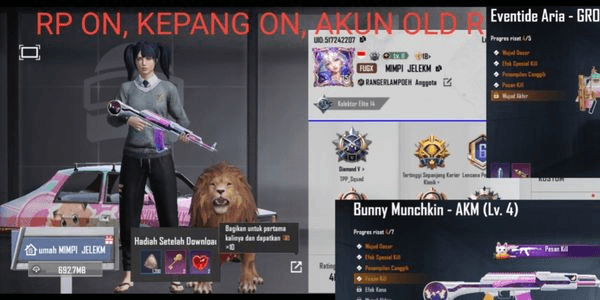 Gambar Product SELL PUBG Mobile ACCOUNT INDONESIA